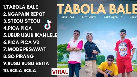 LAGU TIMUR TERBARU 2025 VIRAL TIKTOK | TABOLA BALE | STECU STECU | PICA PICA | NGAPAIN REPOT