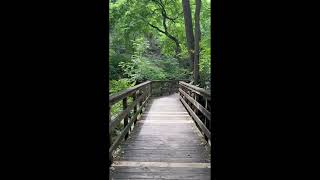 Hayden Falls Park and Ash Cave A Short Film