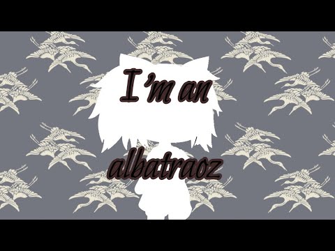 i'm-an-albatraoz/gachalife/