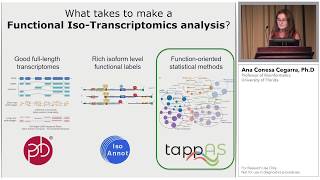 From Long Reads to Transcript Function: Bioinformatics Tools for Iso-Transcriptomics Analysis