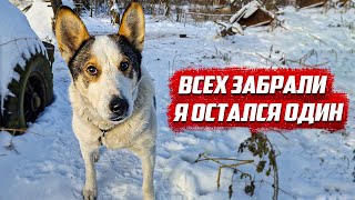 картинка: Нашёл всё что спрятали! | Орловская обл, Малоархангельский р/н д.Васютино