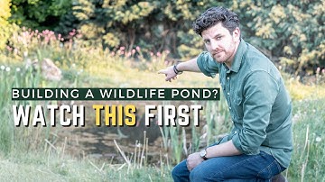 Building a Wildlife Pond: Mistakes I Made and How To Avoid Them