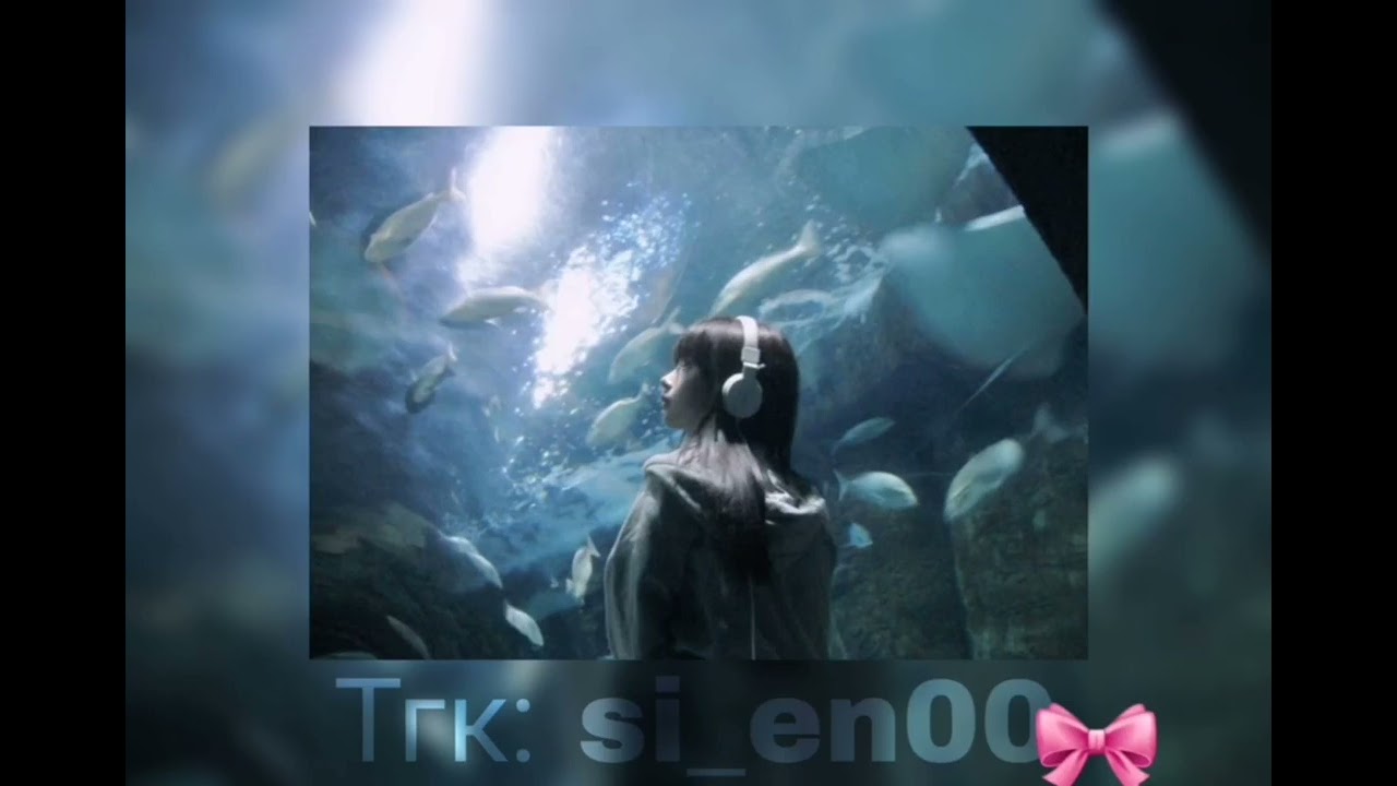 Музыка для флешмоба || ПЕСНИ ЕСТЬ ТГК