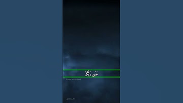 حالات واتساب دينية.. آيات من الذكر الحكيم