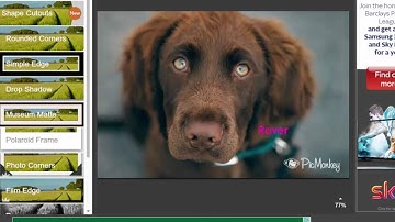 Picmonkey   Text and overlays