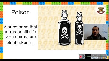 MACMILLAN - UNIT 9 - READING