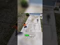 Protect Your Plants! Before &amp; After Driveway Cleaning!