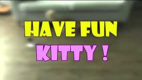 Cat Laser Toy Robot Interactive Laser Pointer for Cats Automatic Laser Chase Toy for Cats