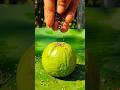 black pepper guava masala 😋🤤‼️#trending #shorts #viral #food #recipe #reels #farming #video #short