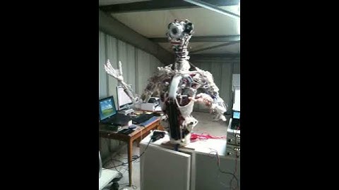 Low cost humanoid robot
