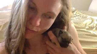 Novalee And Her Foster Pups