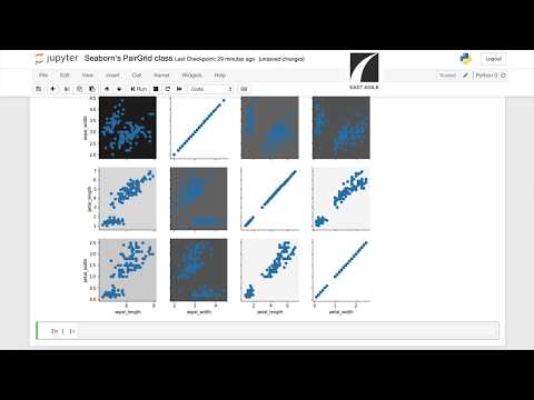 #5 Seaborn's PairGrid