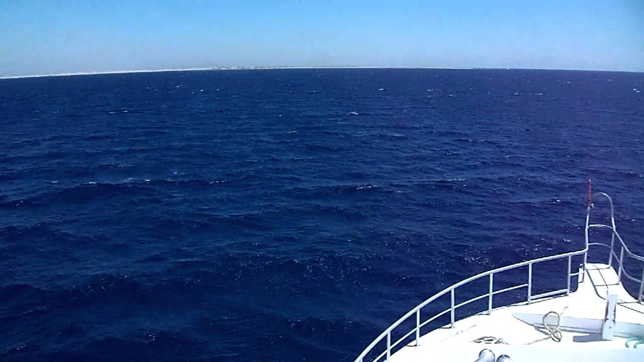 yachting in the red sea