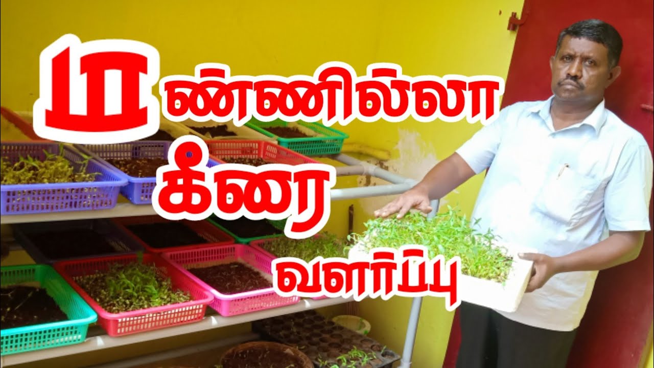 வேளாண்மை ஆசிரியர் காளிராஜ் அவர்களின் மண்ணில்லா அசத்தல் கீரை விவசாயம்  l saharavai thaandatha Ottagam