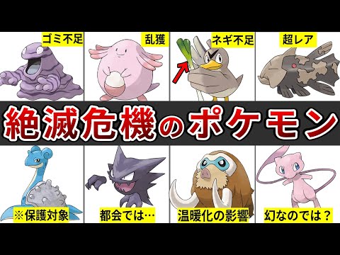 意外と知らない？絶滅危惧種になっているかわいそうなポケモンたち