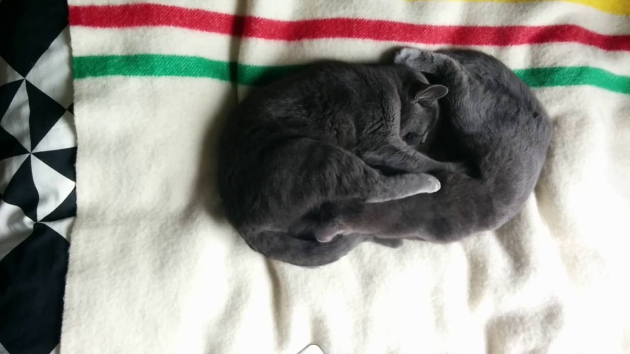 Mark Fell, Jordan Milner, Eileen Quinlan, Anonymous Tantra Paintings