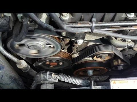 Serpentine Belt Replacement | Genesis Coupe