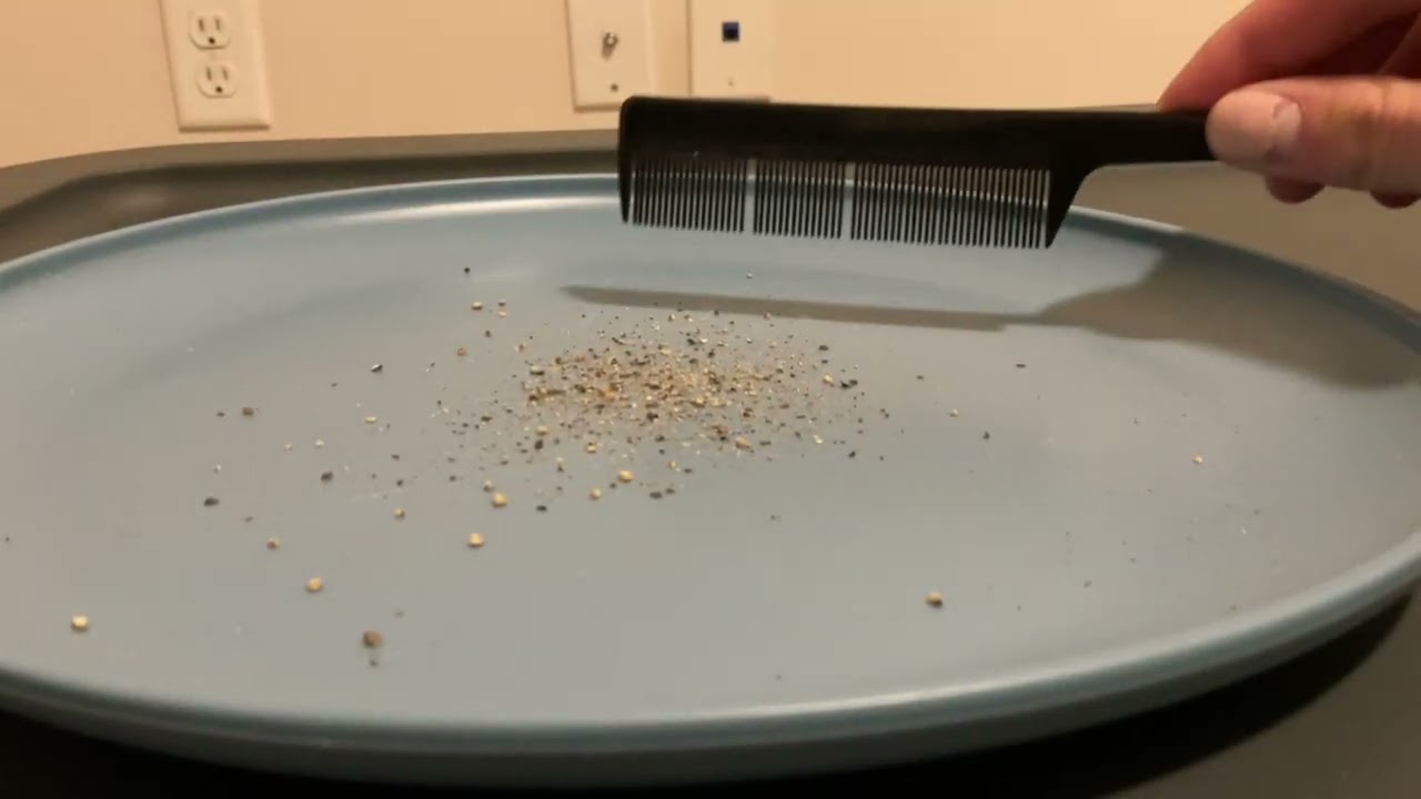 Physics 1000 Presentation