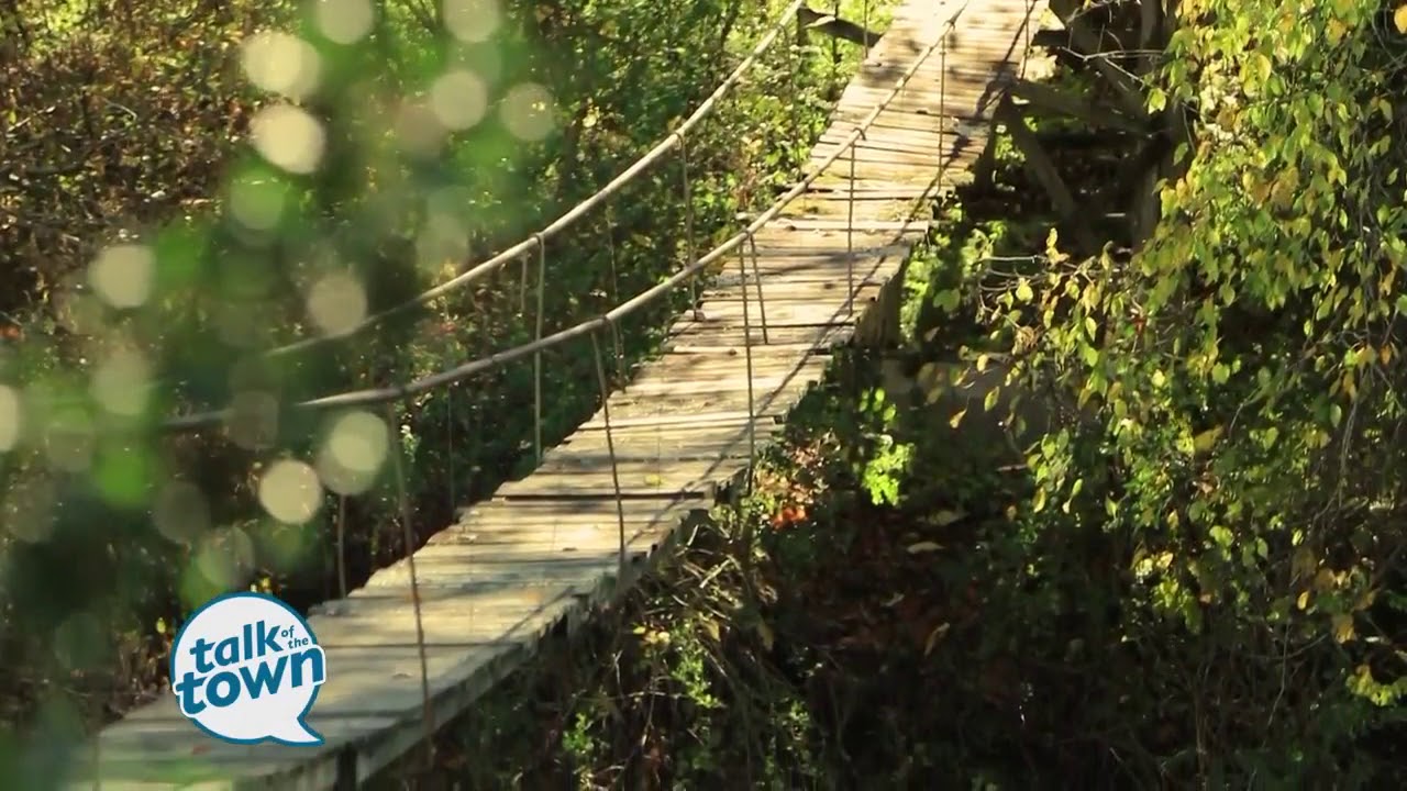 Fun Ways to Dive Into Fall in Sevierville, TN