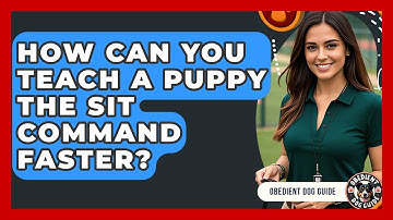 How Can You Teach A Puppy The Sit Command Faster? - Obedient Dog Guide