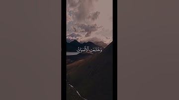 وخشعت الأصوات للرحمن | تلاوة مؤثرة مبكية للقارئ ياسر الدوسري