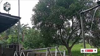 ALBUM NOSTALGIA VIRAL LEGENDARIS 90an | Versi Pop \u0026 slow Rok Cover