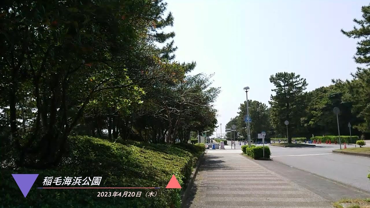 2023年4月20日　稲毛海浜公園（千葉市）①　グランピング場周辺