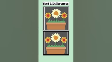 Find 2 Differences Window Flower Box  with Answers