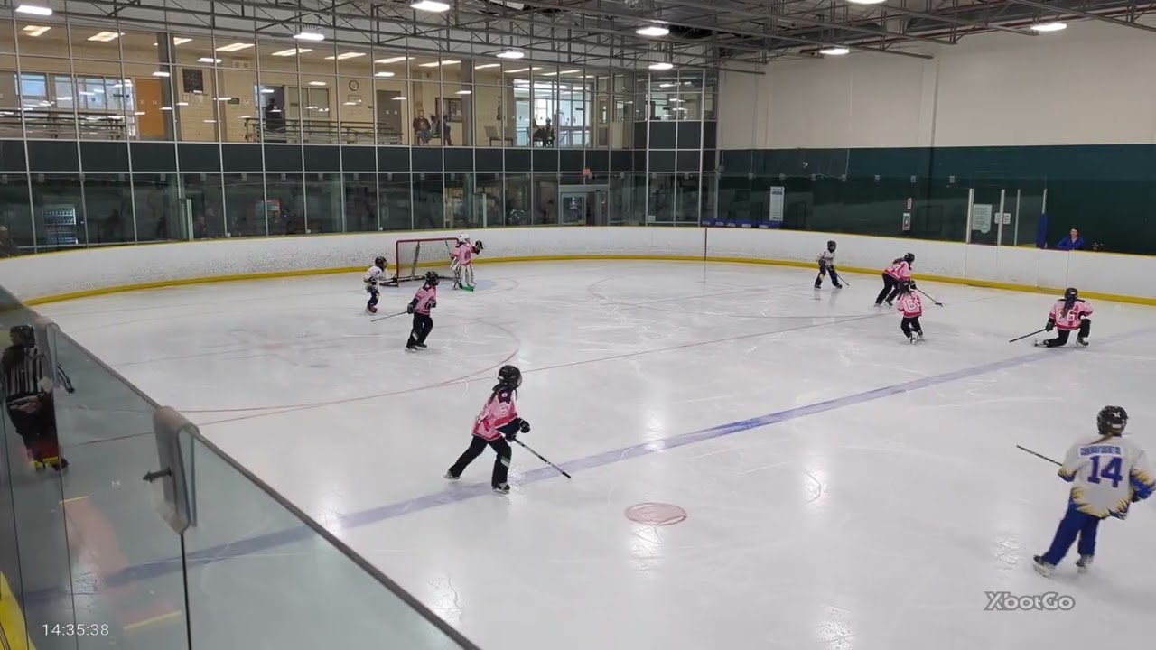 London Lynx U12A vs Forest 