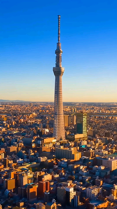 Tokyo japan tour 2024 #shorts #travel #tokio #japan #2024