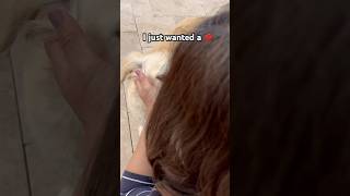 Daisy Just Wanted A Kiss.