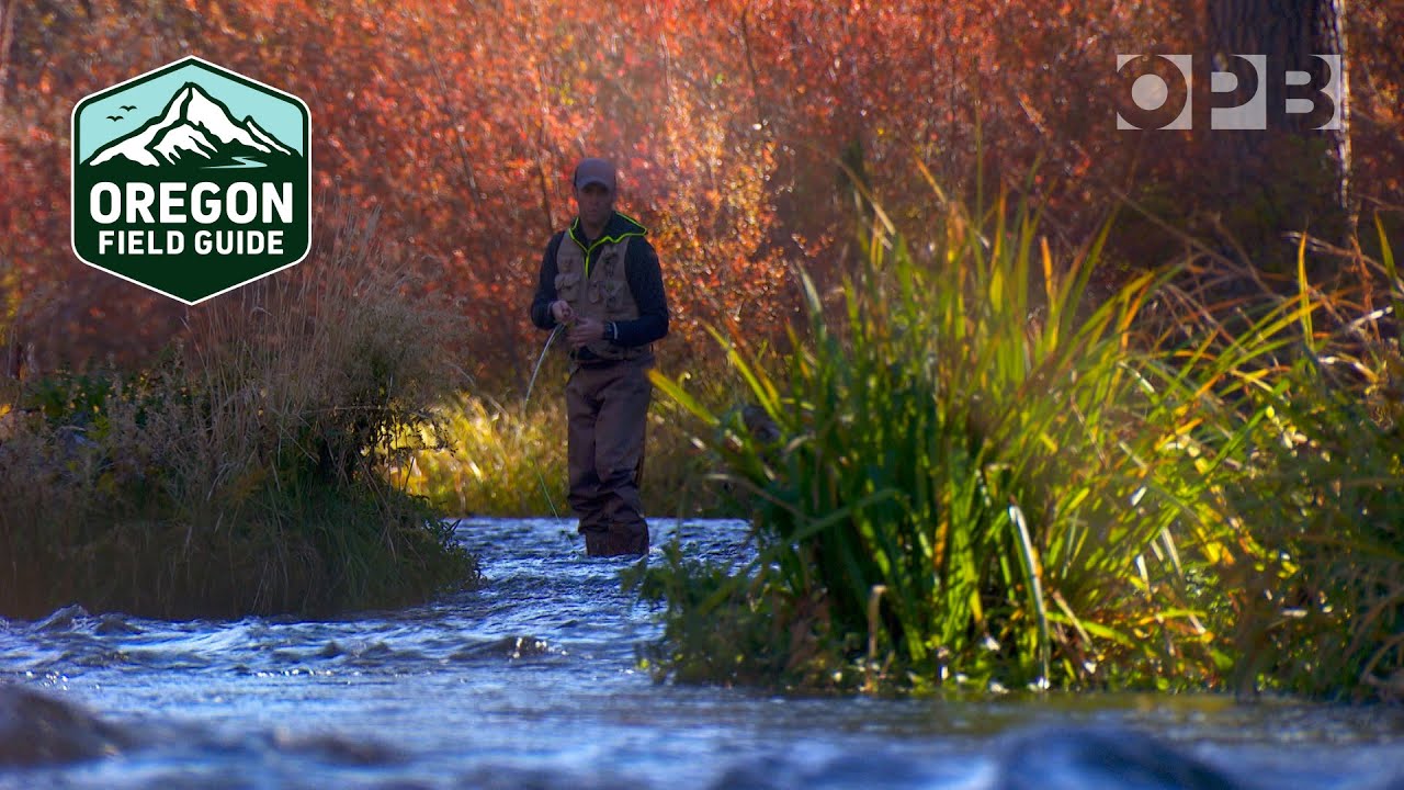 autumn-splendor-on-the-deschutes-and-metolius-rivers-in-central-oregon