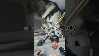 Dyson’s Secret First Customer 🐶     #shorts