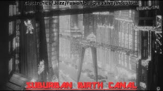 Suburban Birth Canal - A.g.g.r.o. Live At The Tin, Coventry, October 2017