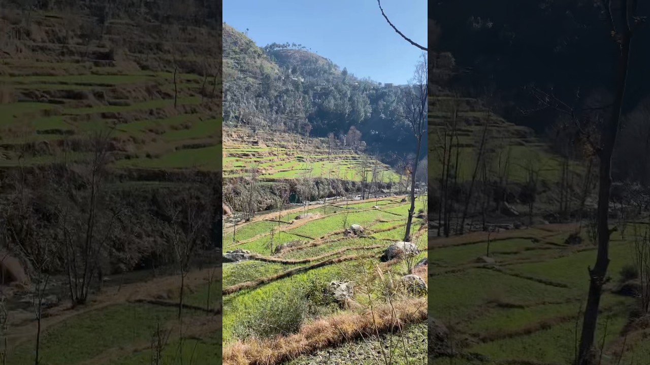 Field wear green blanket #shortvideo #mountainswiev #travel #fatiha #egzonibrahimi