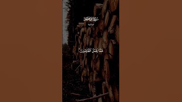 القرآن الكريم 🫀🎧 #القران_الكريم #اكسبلور #دويتو #لايك #المصحف #قران #راحة_نفسية