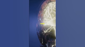 Why You See Faces in Random Things 👀