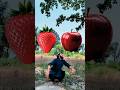 I love Allah 🥹 Ya Mohammad 🥰 Habibi #shorts #islamicshorts #ytshorts #trendingshorts #vfxshorts