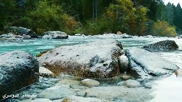 (لَقَدْ كانَ فِي يُوسُفَ وَإِخْوَتِهِ آياتٌ لِلسَّائِلِينَ)بصوت مصطفى الدوسري