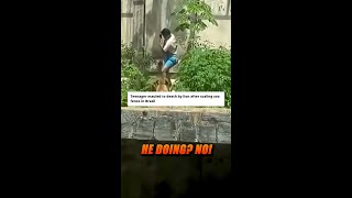 Man Mauled To Death By Lion in Brazilian Zoo