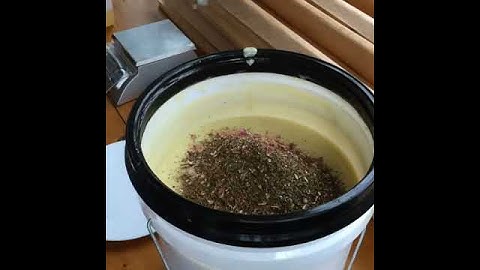 BATCH soap making - At Thick Trace add Organic Roses and Patchouli