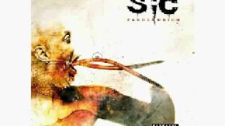 SiC Hands Unfold 12