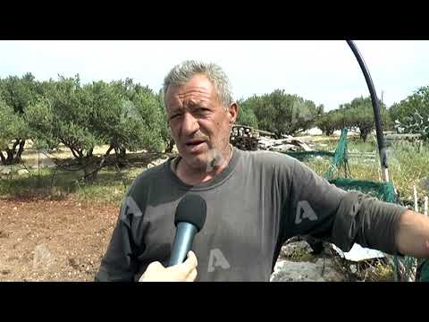 «Ζωντάνεψε» το θρίλερ του Τηλέμαχου Κακουλίδη