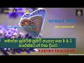 B&S nonstop භාතිය සංතුෂ් ලස්සන ගීත නන්ස්ටොප් එකක් #Karaoke nonstop @madura146