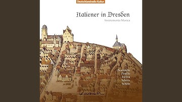 Habe fiduciam in Domino, ex toto corde tuo