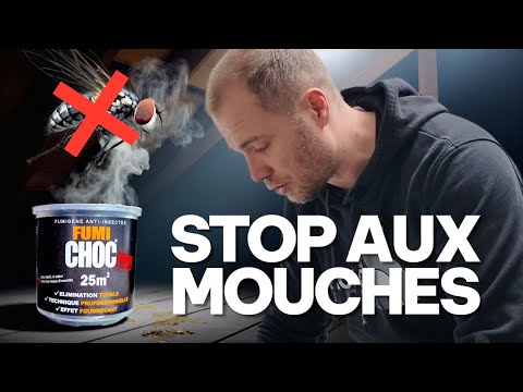 Un millier de mouches dans un grenier : mon traitement au fumigène