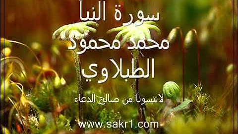 سورة النبأ   محمد محمود الطبلاوي   YouTube