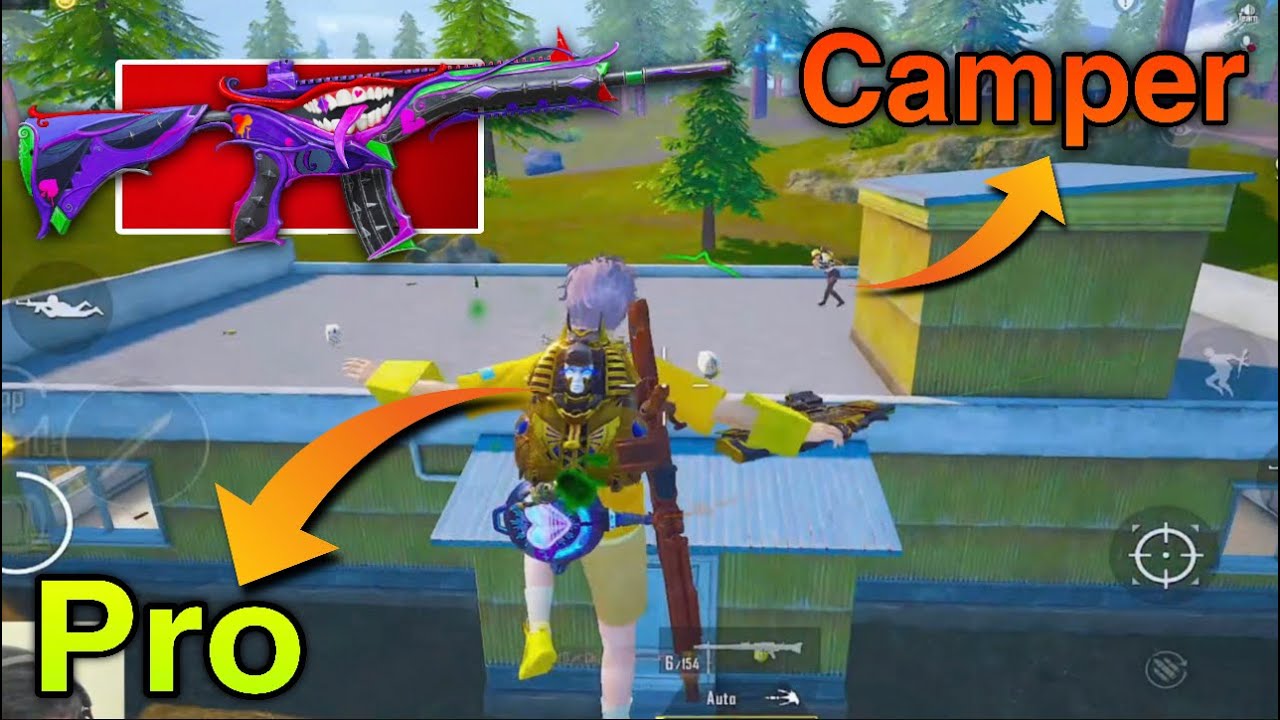 Pro vs Camper - Who will Win?