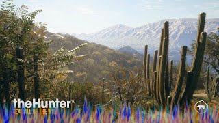 theHunter COTW: Rancho Del Arroyo Mule Deer Guide & My Hotspots