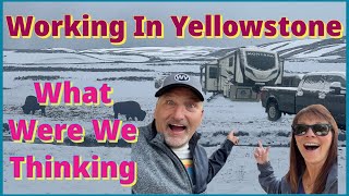 What Could Go Wrong Working in Yellowstone National Park